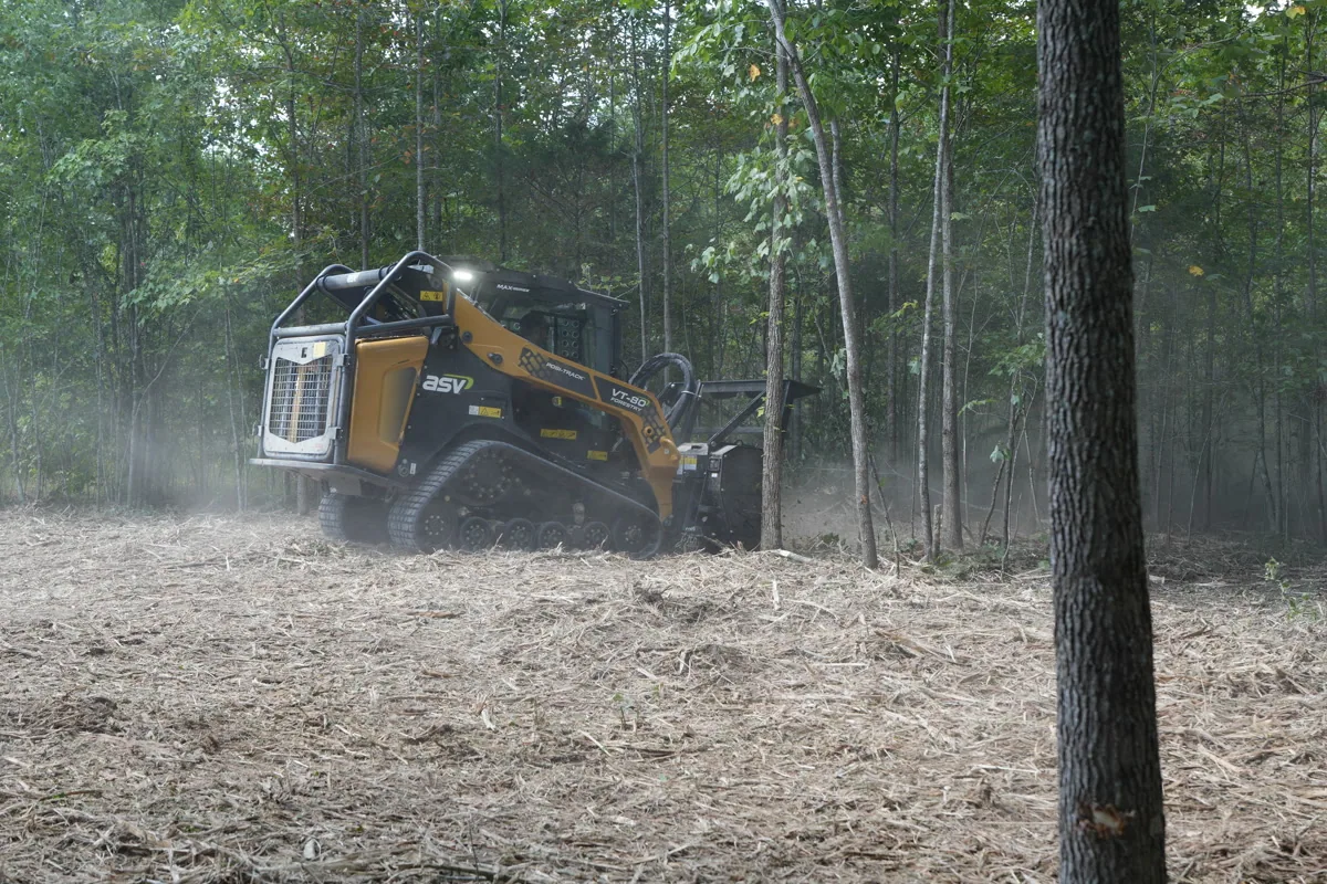 Clear Path compact track loader with forestry mulcher head working through a mature pine stand in Middle Tennessee