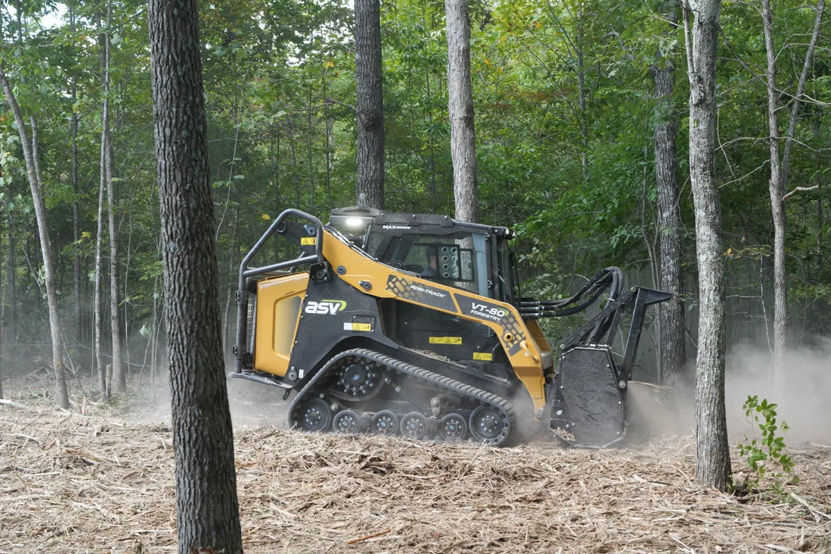 Forestry mulching in mature pine forest on a Middle Tennessee property near Hohenwald